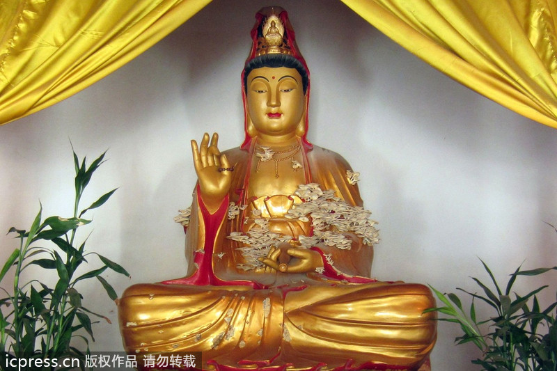 福建南靖縣：觀音長(zhǎng)平菇 似“祥云”引圍觀