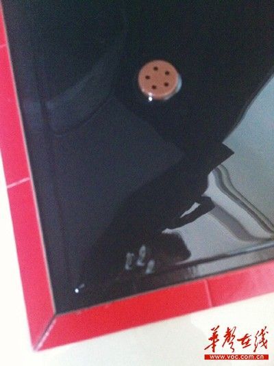 鼠王復仇闖貓窩一連咬死三貓崽 主人喊“逆天”