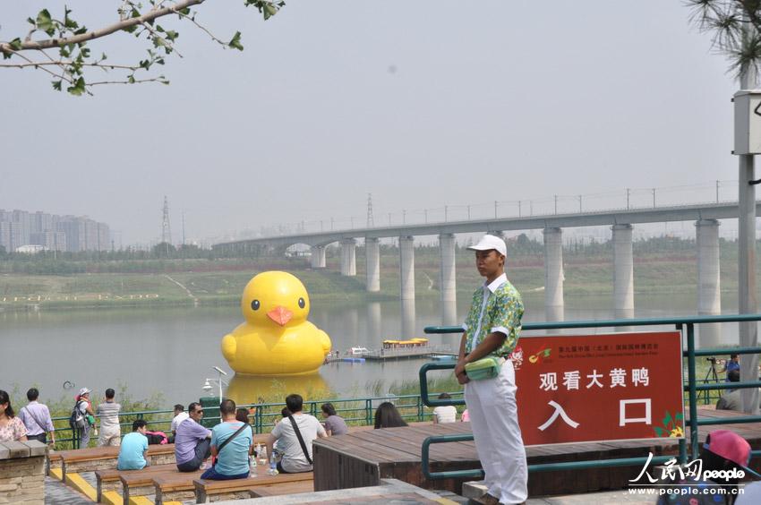 高清：北京大黃鴨拼接錯誤變尖嘴雞 已連夜修復