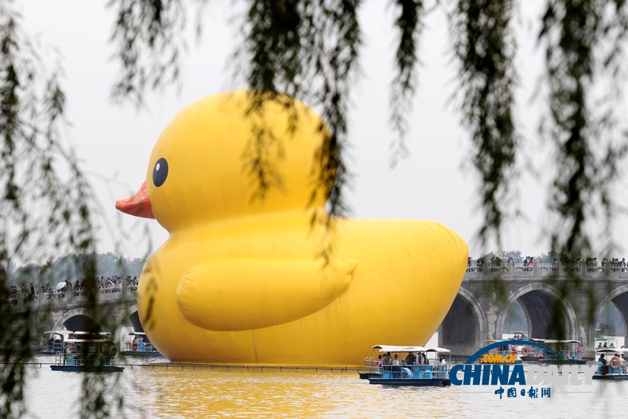 數(shù)萬名中外游客冒雨進(jìn)頤和園看“大黃鴨”