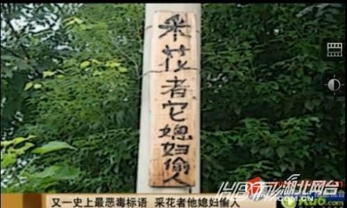 另類沖刺標語屌絲氣息濃郁 盤點那些令人無語的奇葩標語（組圖）