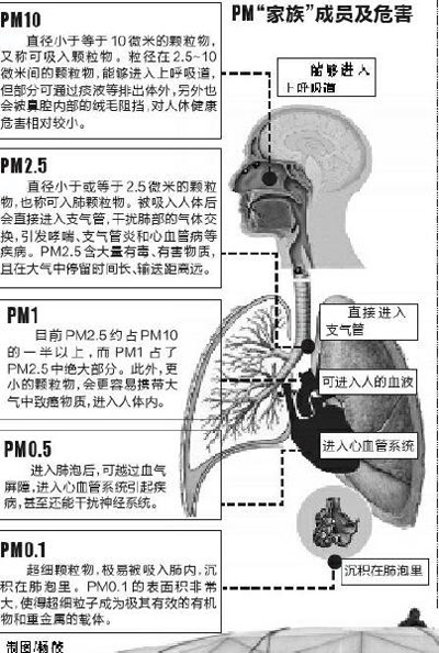 社科院氣象局發報告：霧霾會影響生殖能力(圖)