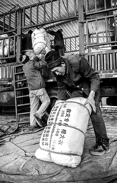 專家：吉林近期地震頻繁與前年日本9級地震有關