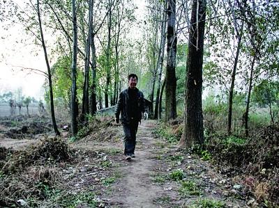 退伍老兵義務(wù)守島護林13年 無電燈無自來水(圖)