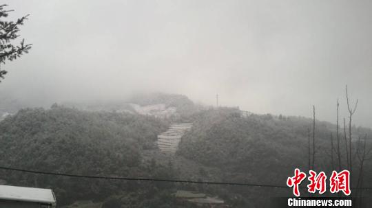 昆明迎來今年首場大范圍降雪 引起網友狂歡(圖)