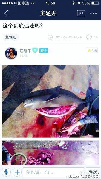 網貼現江豚開膛照 內臟散落一旁血淚從眼角流出