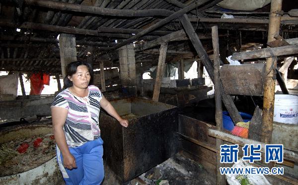 三亞回應(yīng)最大棚戶區(qū)被強(qiáng)拆事件:政府沒有義務(wù)賠償