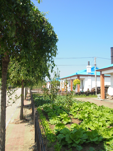 軍民共建固邊關(guān)—走進吉林邊陲朝鮮族防川村