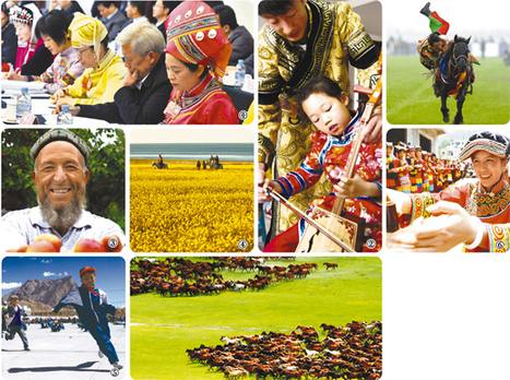 共同團結奮斗 共同繁榮發展(紅船觀瀾)——論十六大以來我國民族團結進步事業的新發展