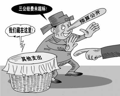 政府預算體系框架基本建立