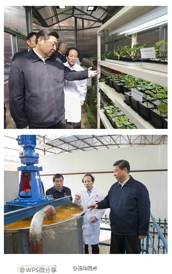 習近平在湖南考察時強調(diào)：深化改革開放推進創(chuàng)新驅(qū)動 實現(xiàn)全年經(jīng)濟社會發(fā)展目標