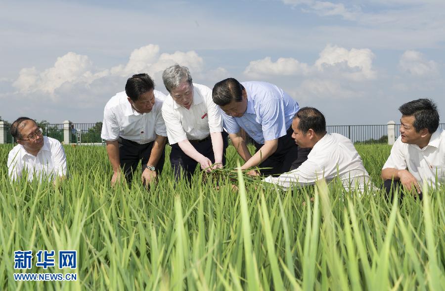 中國日報網年終特別策劃：2013年，習近平的中國足跡[組圖]