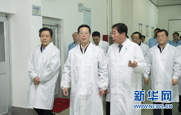 張高麗:堅持穩中求進改革創新 促進經濟持續健康發展