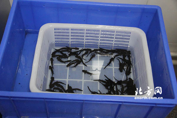 南水北調問水行：移民搬遷 樂享城鎮化碩果
