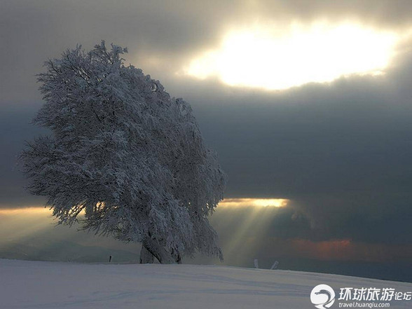 美得令人窒息的雪景(組圖)