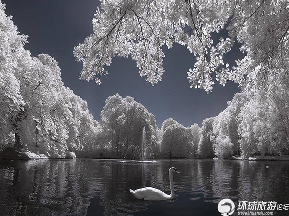 美得令人窒息的雪景(組圖)