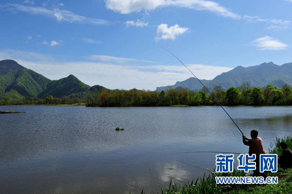 神農架高山濕地大九湖掠影