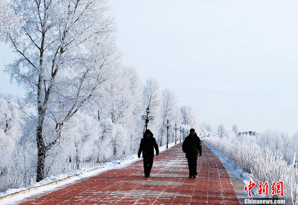 黑龍江伊春現霧凇奇景 美輪美奐