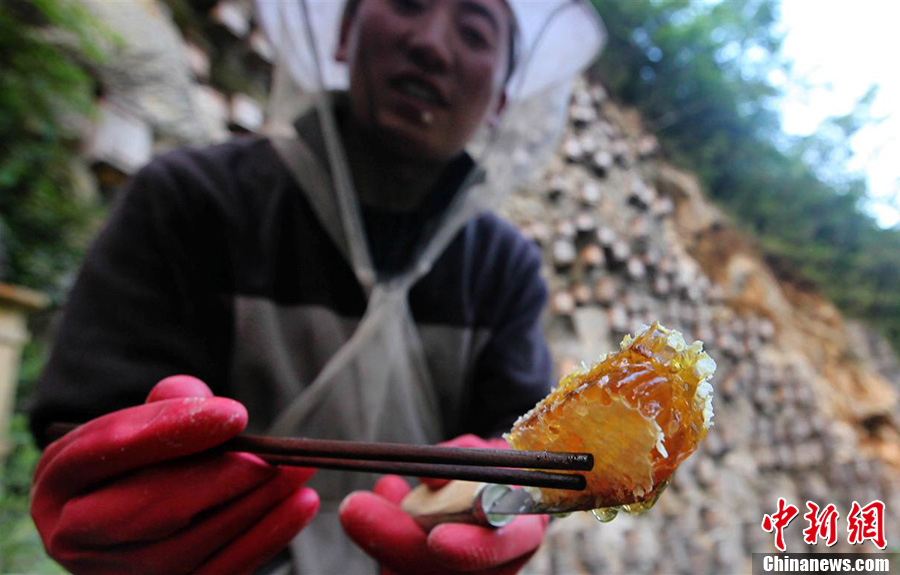 神奇！探秘奇特的神農架
