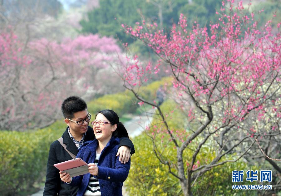 “花開意盎然，雀鳥上枝頭”：聽！春天的腳步聲