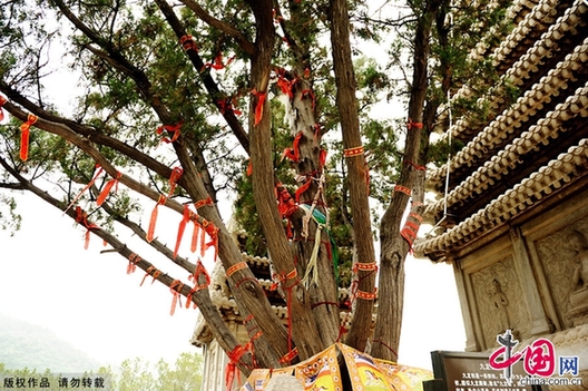 辛亥百年——北京香山碧云寺孫中山衣冠冢[組圖]