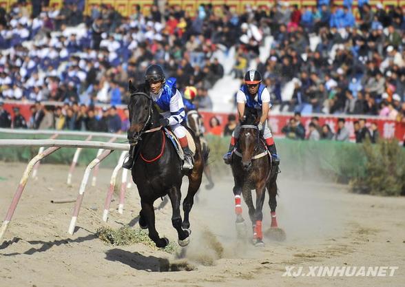 巴州第八屆“東歸那達慕節(jié)”開幕