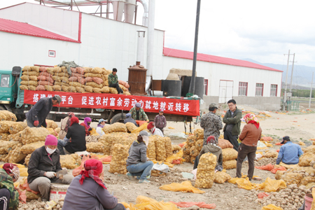 青河縣巧妙化解“用工荒”和“務工難”難題實現就業促增收