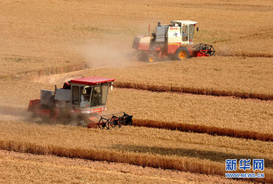 農業部:我國全年糧食實現半個世紀以來首次“九連增”