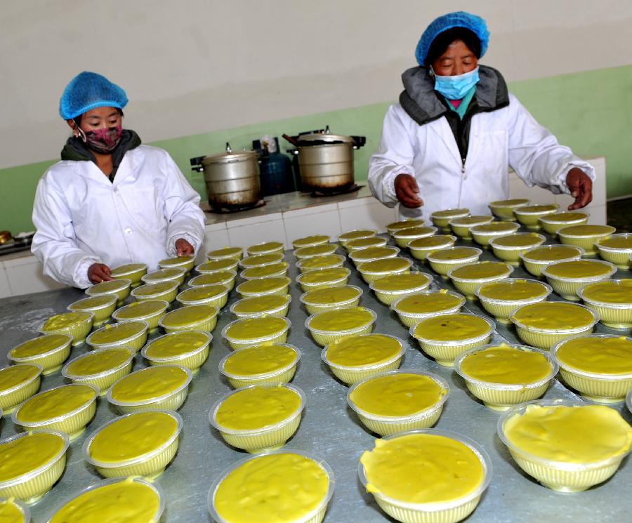 西藏農牧民增收從單一農牧業走向多元