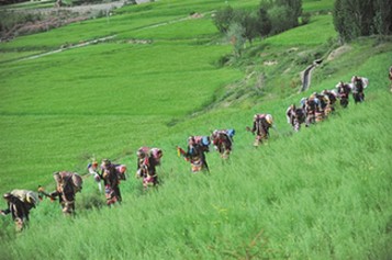 山南市瓊結縣村民喜迎望果節