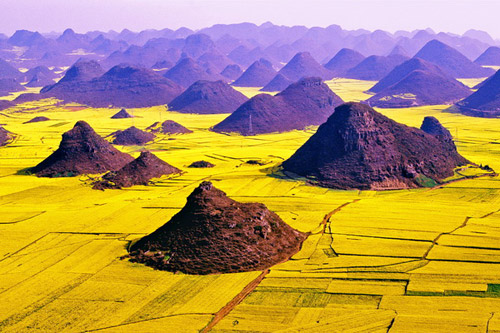 2010年云南羅平國際油菜花文化旅游節(jié)下月開幕