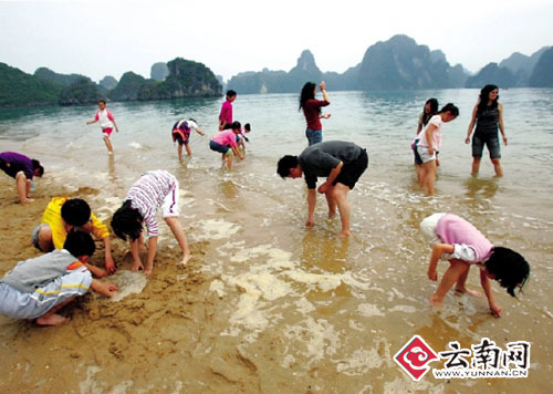 雙向出行游客增多 暑期游升溫飛機(jī)火車(chē)都滿(mǎn)座