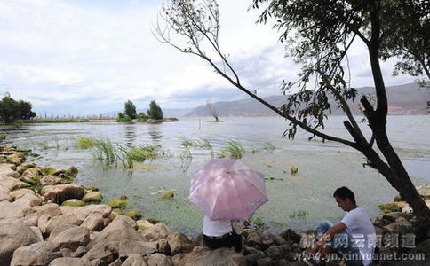 大理洱海水質提升 生態環境明顯改善