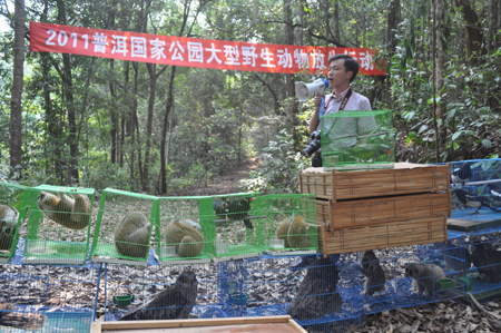 云南普洱：183只野生動(dòng)物重回自然