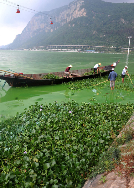 保衛高原明珠之戰：云南加快滇池治理