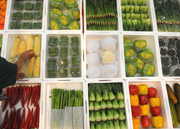 昆明舉辦泛亞國際農(nóng)業(yè)博覽會(huì) 無公害瓜果蔬菜受青睞