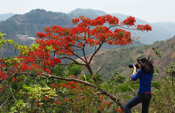 影像在天地 至樂寄山林:體驗中國野生動物攝影訓練營