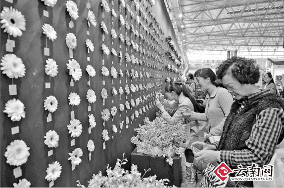 云南農(nóng)產(chǎn)品掃二維碼可實(shí)現(xiàn)全程監(jiān)控“農(nóng)田到餐桌”