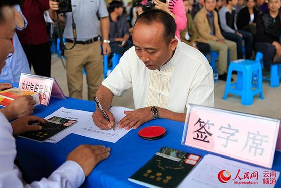 云南在全國(guó)率先頒發(fā)《林木木權(quán)證》(圖)