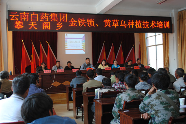 云南白藥精準(zhǔn)扶貧惠及維西687貧困戶