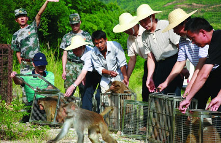 華能糯扎渡:創造綠色能源