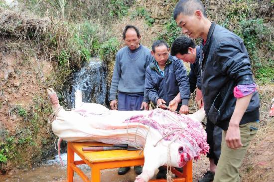 云南石林推出春節(jié)“套餐”迎接八方游客