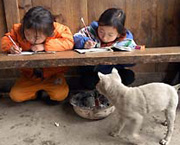 China sees progress in education 