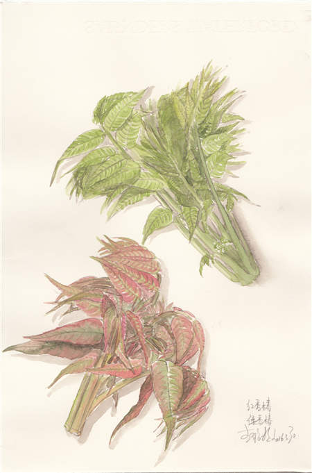 Herb master