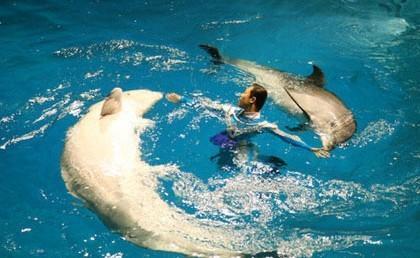 親子游：中國(guó)最好玩的六大海洋世界