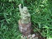 中國“養生術”