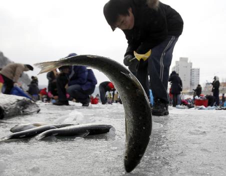 百萬(wàn)韓國(guó)人參加冰上釣魚活動(dòng)