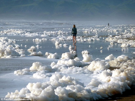 海嘯讓加州海岸成泡泡浴場 新鮮景象難得一見
