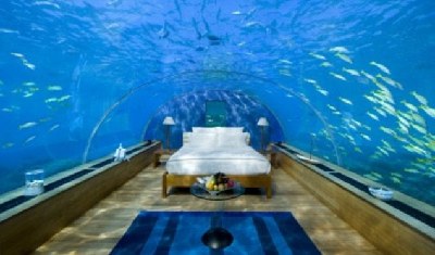 夢幻水下客房現身馬爾代夫 蜜月情侶可“與魚兒同眠”