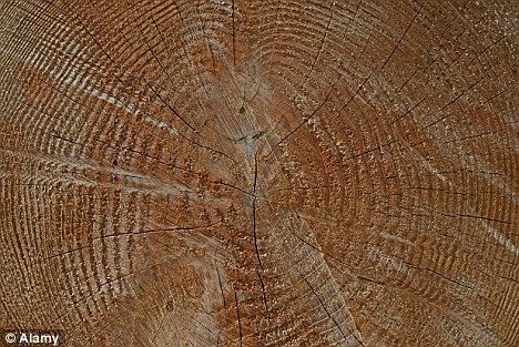 瑞士科學(xué)家提出新觀點 羅馬帝國衰落或氣候變化所致